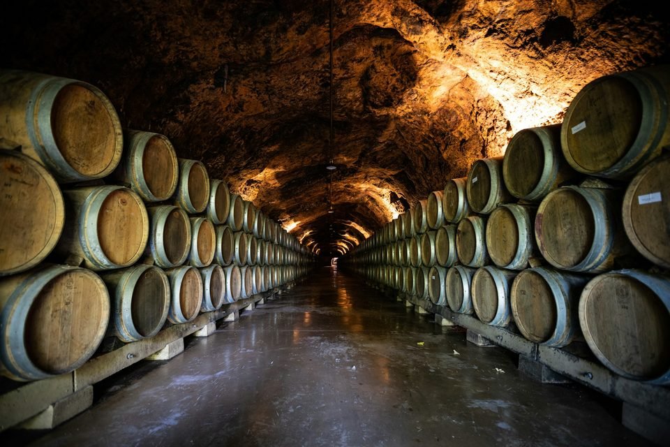 Bodega con barricas