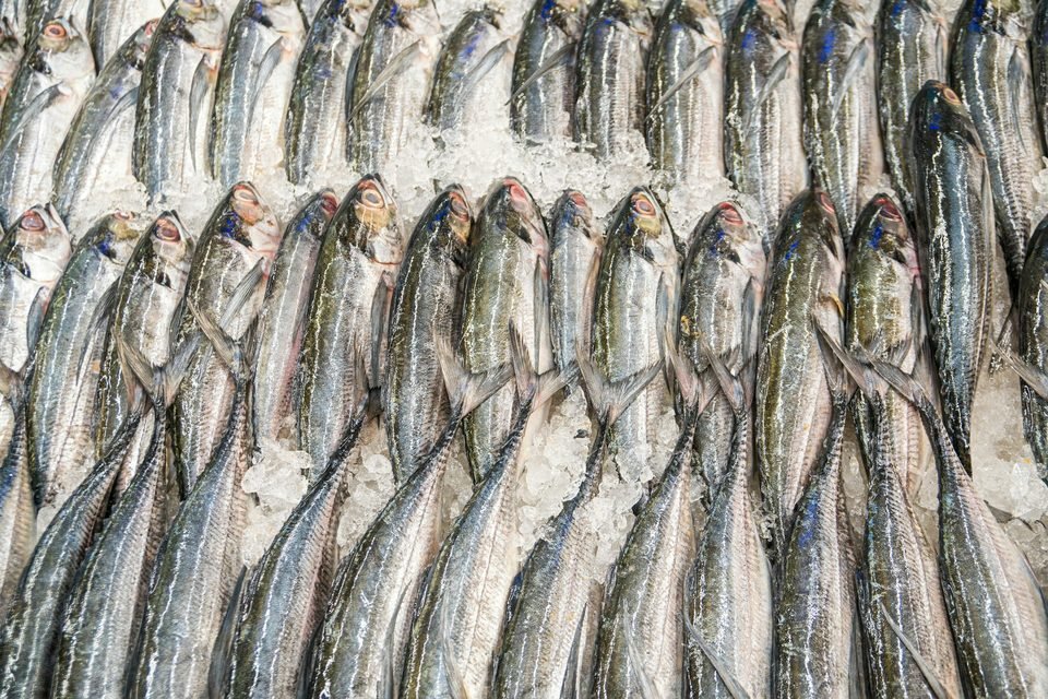 Pescado sobre hielo