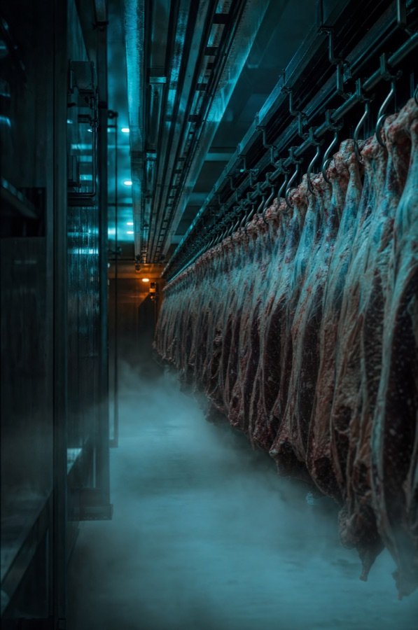 Cámara frigorífica de industria cárnica
